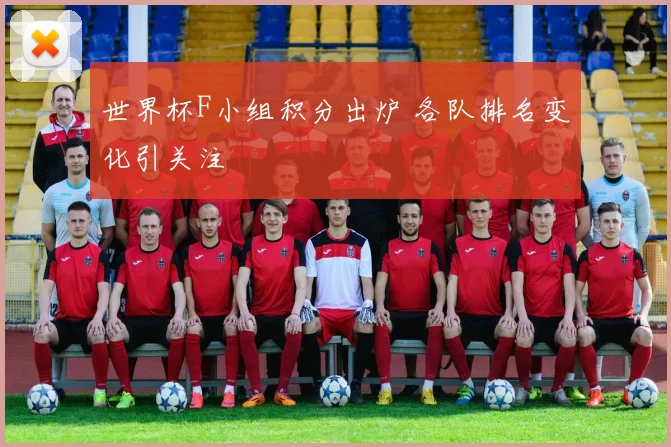 世界杯F小组积分出炉 各队排名变化引关注
