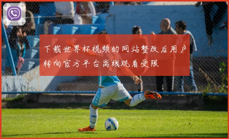 下载世界杯视频的网站整改后用户转向官方平台离线观看受限