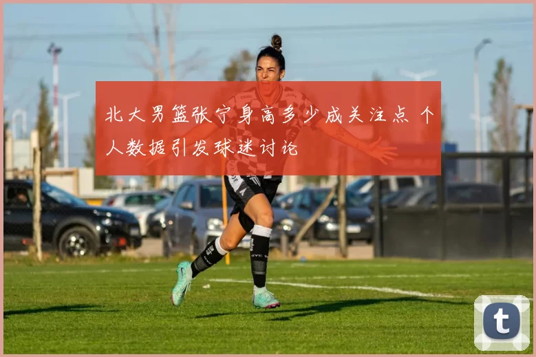 北大男篮张宁身高多少成关注点 个人数据引发球迷讨论
